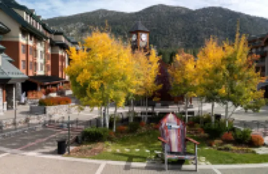 Marriott's Timber Lodge