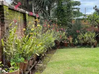 Bed&Breakfast Vanilla