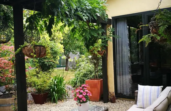 黑澤爾伍德梅普住宿加早餐旅館