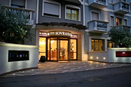 裡米尼索夫拉納水療飯店
