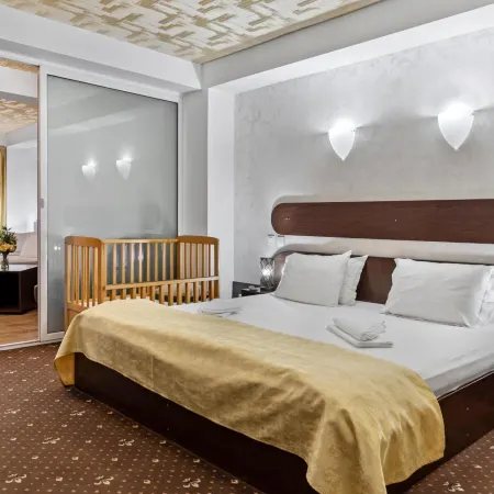 Hotel Charter Otopeni