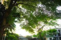 Baan Boonanan Apartment