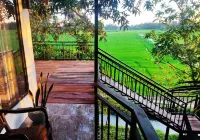 Village Mango Resort Yala - 2-Star
