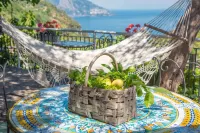 Villa Costanza sorrento B&b - pet friendly