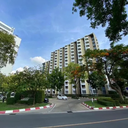 Dluxx Thammasat