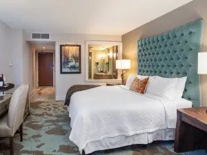 그랜드 보헤미안 호텔 애슈빌 오토그래프 컬렉션