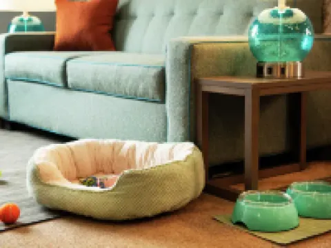 Home2 Suites By Hilton Fairburn Atlanta Hoteles en Fairburn