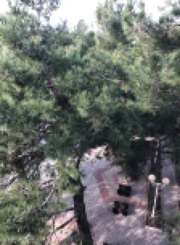 Evropa Hotel Hotel di Gelendzik