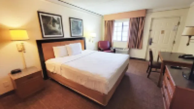 Flex Studios Culebra