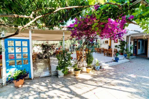 يوكاليبتس بينشن من الخارج Photos