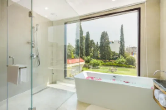 The Vaishnodevi Sarovar Portico