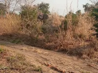Blue Waxbill Lodge Hotels in Mambwe