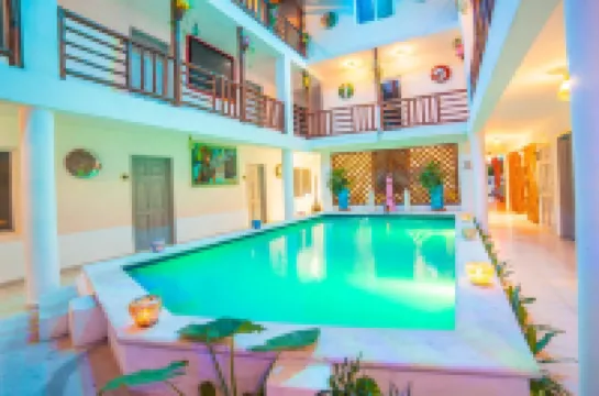 メスティーソ ギャラリー