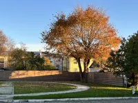 Business Hotel Kostroma