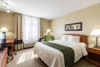 Quality Inn Marshall MN Near University Hotels in Marshall