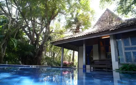 Sapulidi Cafe, Gallery & Resort