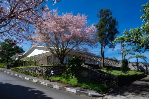 Malino Highlands Hotels in Gowa Regency