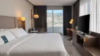 홀리데이 인 아카풀코 아마레아 바이 IHG - 3성급