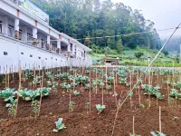 Hotel Green View near Sarangan Lake RedPartner - 2 stelle