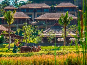 Mandapa, a Ritz-Carlton Reserve