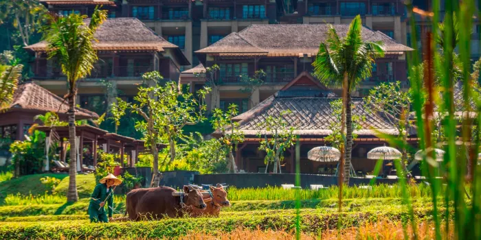 Mandapa, a Ritz-Carlton Reserve image 1