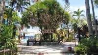 Love's Beach and Dive Resort