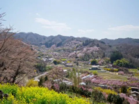 La Union Hotels in Fukushima