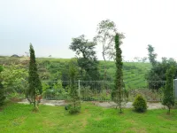 Villa Kangen Omah Hotels in Pacet