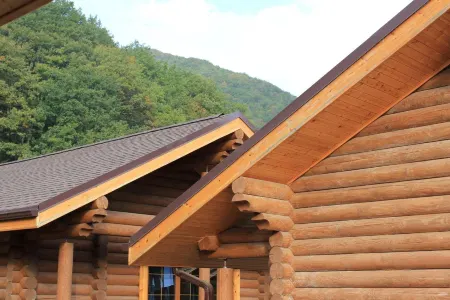 Снегири Village