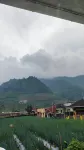 Mustika Dieng Homestay Fullhouse