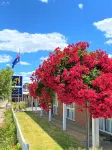 Jolly Swagman Motor Inn Euroa فنادق في Euroa
