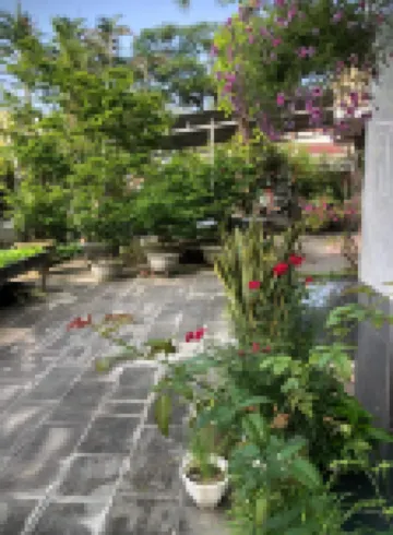 Phuong House Homestay