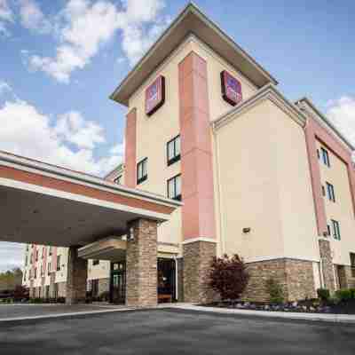 コンフォート スイーツ キングスポート サウス Hotel Exterior