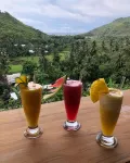 Lombok Khophilauvillas - bar