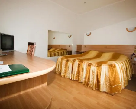 Lion Hotel Hotels in Rostov