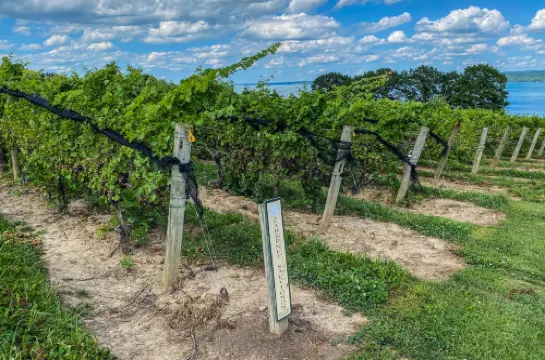 Ithaca Marriott Downtown on the Commons Рядом с отелем Photos