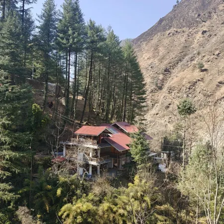 The Woods - Tirthan Valley