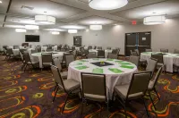 Holiday Inn New Orleans Airport North Hotels in Kenner
