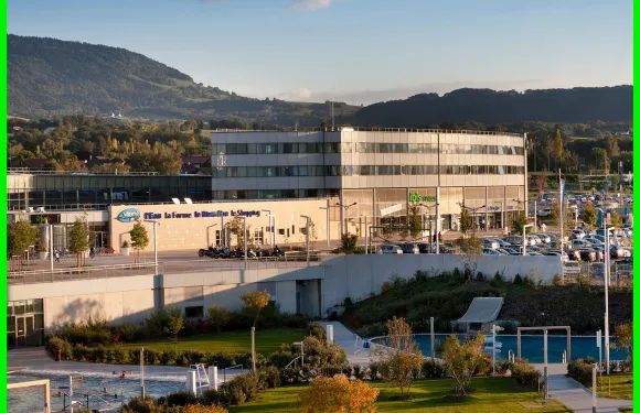 宜必思尚品內登斯維特姆公園酒店