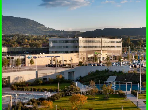 宜必思尚品內登斯維特姆公園酒店 聖朱利安昂日內瓦酒店