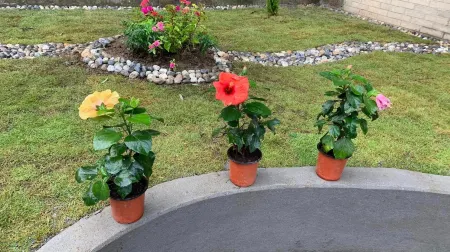 RJ-Residence Отели рядом с достопримечательностью «Devi’s Fall Pokhara»