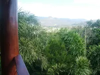 The Summit Bed & Breakfast - Mountain view
