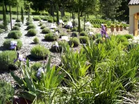 Casa Valeri Hotels in Warburton