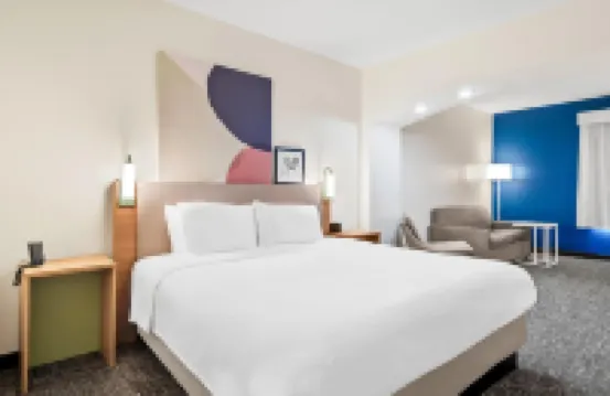 Spark by Hilton Kingsland