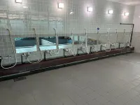 RB HOTEL Dakeonsen - Hot Springs