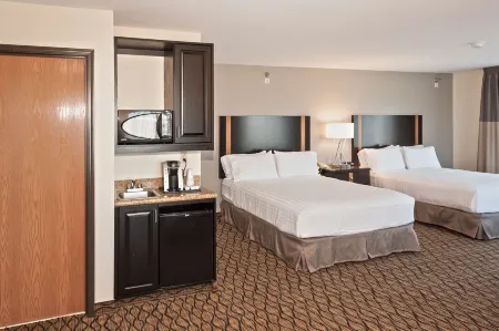 Holiday Inn Express & Suites Chanhassen Отели в г. Вакония