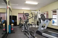 Holiday Inn Express & Suites DANVILLE by IHG - Gym
