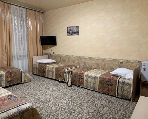 Zarechnaya Hotel Hotels in Diveevo