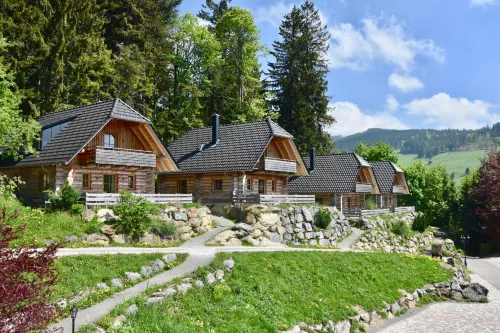 Hotel & Chalets Herrihof Hotels in Todtnau