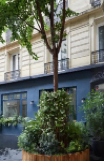 호텔 테일러 1구 - 루브르 주변 호텔